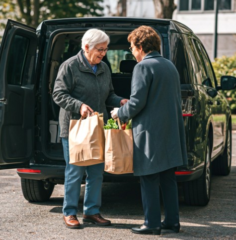 Transportation, grocery shopping